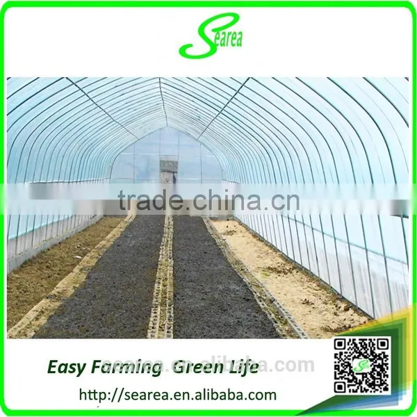 Galvanized Steel Frame Polytunnel Greenhouse photo-2