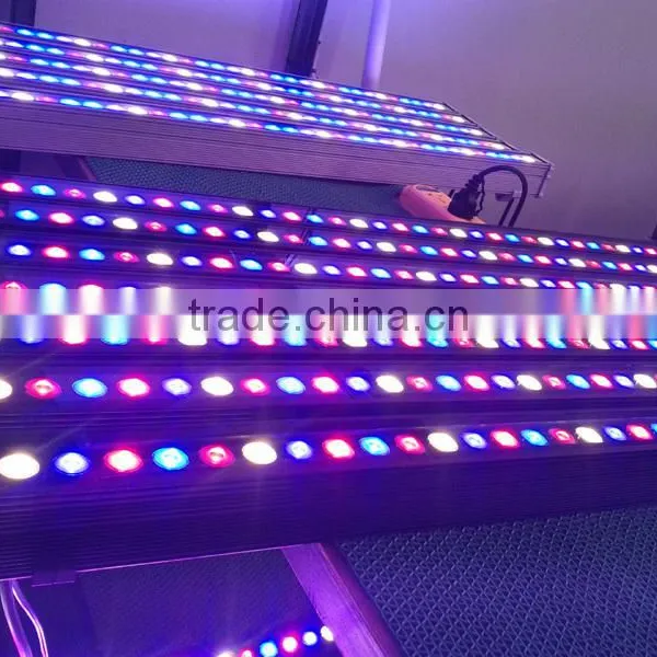 Horticultural Lighting Led Chip Grow Light Full Spectrum uv ir Led Grow Light 36w 54w photo-3