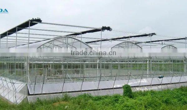 Balckout Greenhouse 0.08mm or 0.15mm PE Film Greenhouse Polythene Greenhouse photo-2