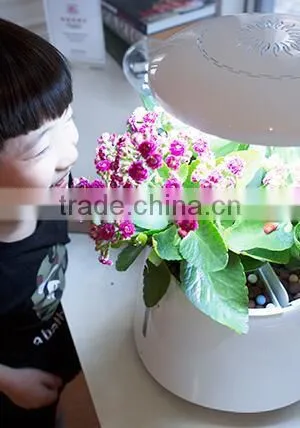 Plant Growth Light photo-4