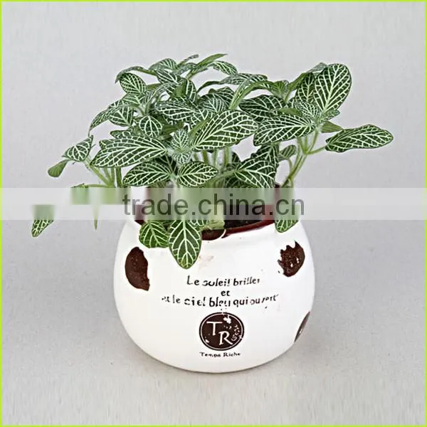 Plastic Flower Pot,colorful Plastic Flower Pots,custom Printed Flower Pots photo-4