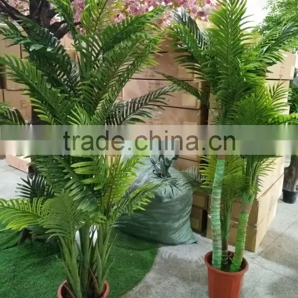 Green Decorative Plants photo-3