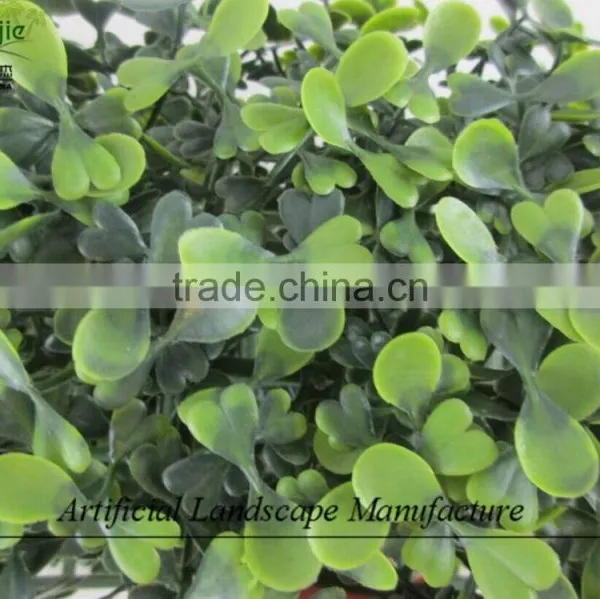 Anti-UV Grass Carpet , Artificial Milan Grass for Wholesale photo-2