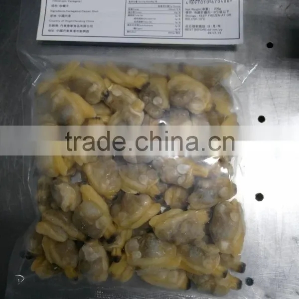 Frozen Clam Meat in Discount and Hot Sale photo-2