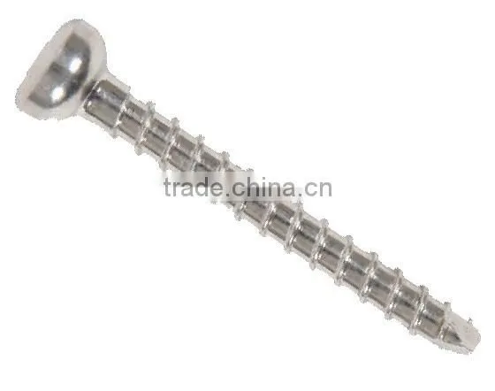 Bone Screws photo-2