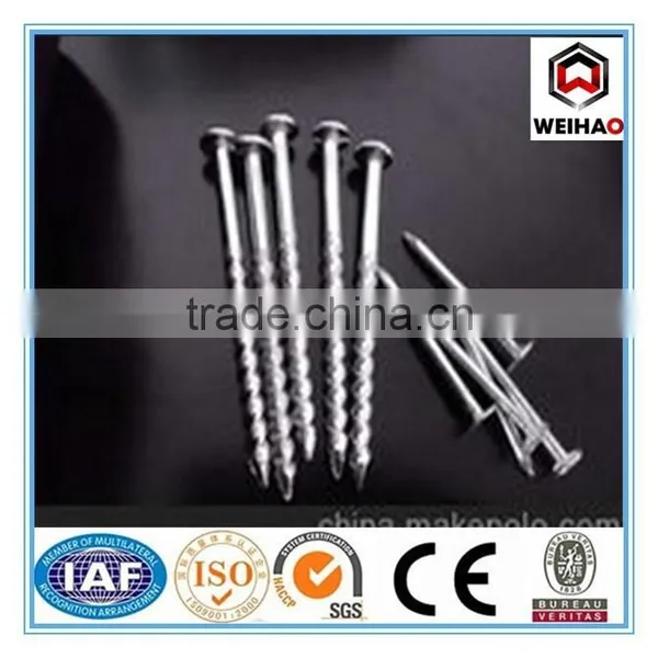 Good Quality Common Nail Iron Nail Factory photo-2