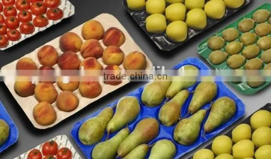 Economic Price Good Quality Export Standard Disposible Plastic Tray Liner for Apple in Food Grade photo-4