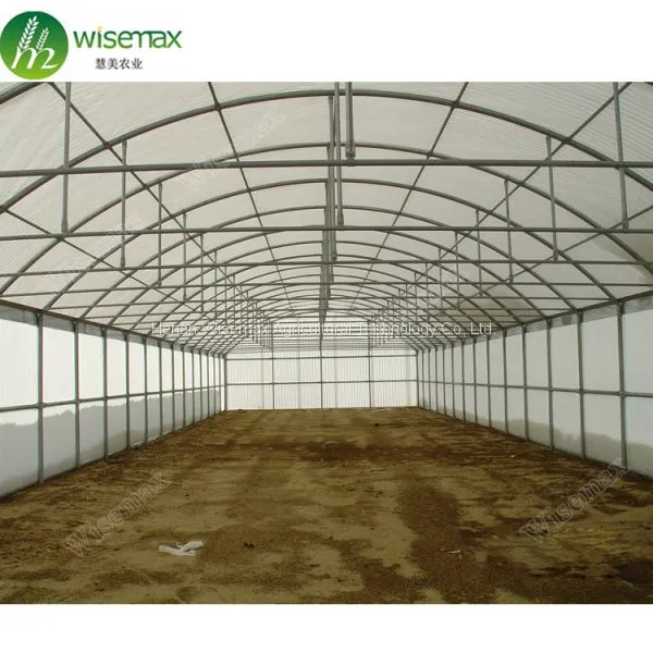 Low Cost Widely Used Agricultural Film Single Span Greenhouse photo-4