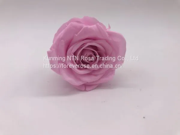 Preserved Flowers Wedding Bridal Bouquets Natural Eternal Roses photo-2