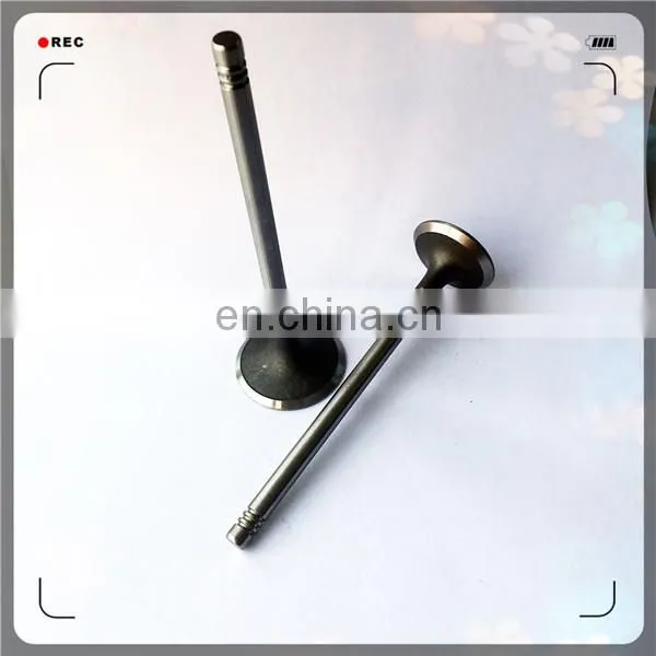 Size 36.5*6*110.3 32*6*112.1 Engine Valve for Mitsubishi V93W 6G75 photo-4