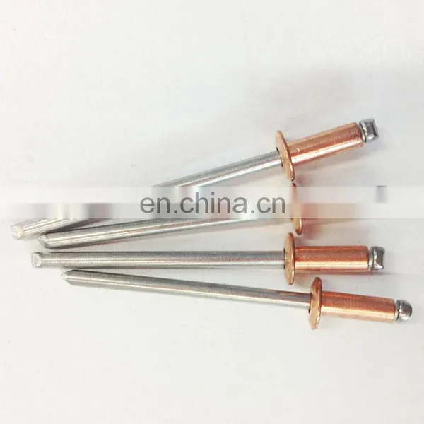 Free Sample Rivets All Stainless Steel 304/316 Large Head Flat Head Blind Rivets photo-4