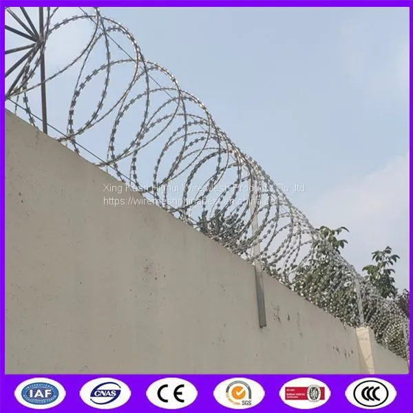 Electro Razor Barbed Wire Double Coil High Tensile Concertina Wire In Roll photo-5