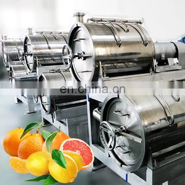Cheapest Industrial Juicer Machine Commercial Mango Mango Orange Juice Extractor photo-5