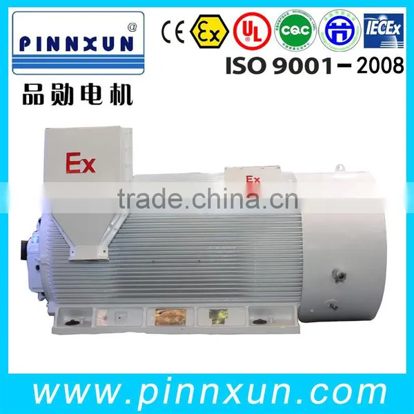 Washing Machine Motor