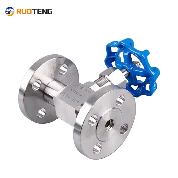 [Ruoteng] Heavy Duty Globe Valve High Pressure Stainless Steel 304 Flanged Needle Valve photo-2