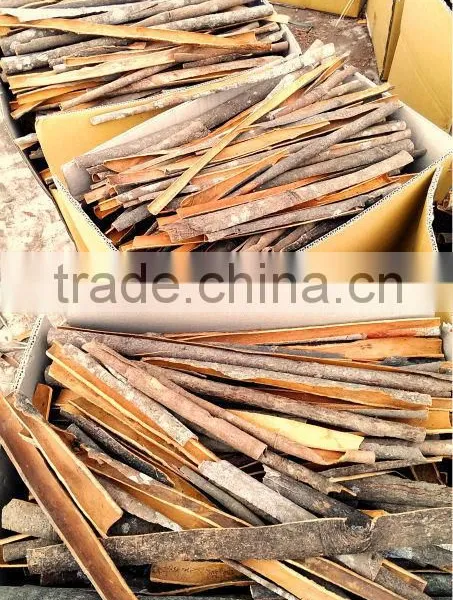 Split Cassia / Cinnamon Very High Quality and High Oil Content
