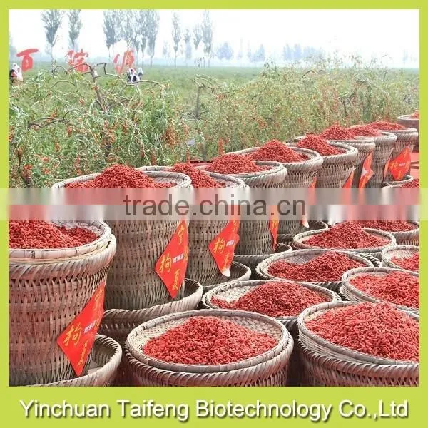 Organic Gojiberry photo-2