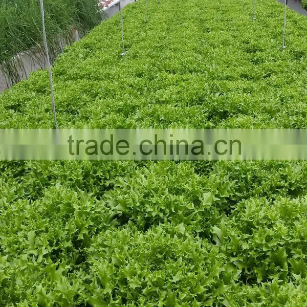 Agricultural Machinery, Temperature Sensor and Drip Irrigation for Greenhouse photo-6