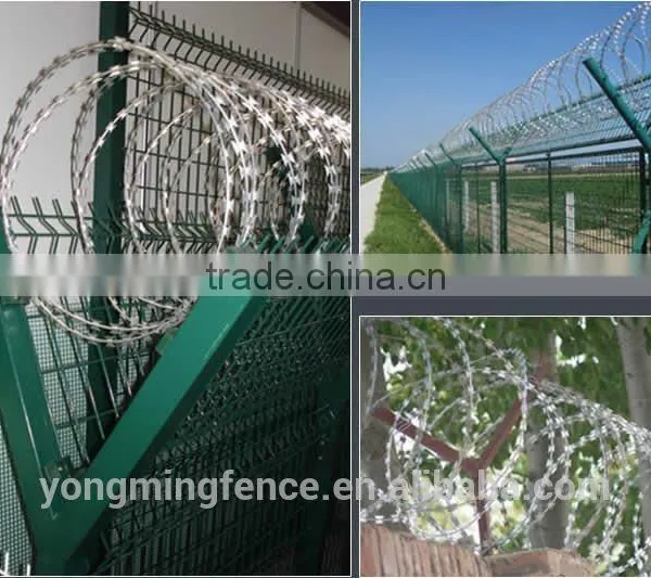 Barb Wire and Razor Wire photo-4