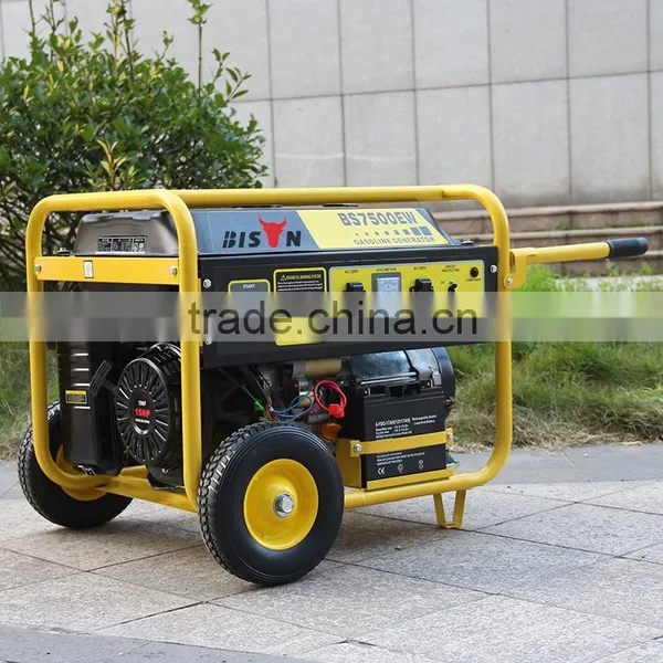BISON(CHINA) Air Cooled 4 Stroke Engine OEM Bio Gas Generator photo-2