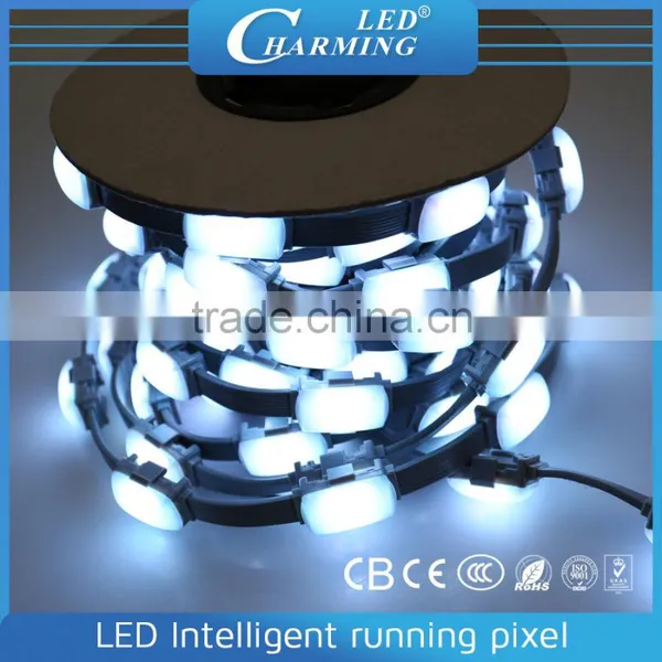 2015 Popular Hotel Exterior Decoration Rgb Led Christmas Light photo-5