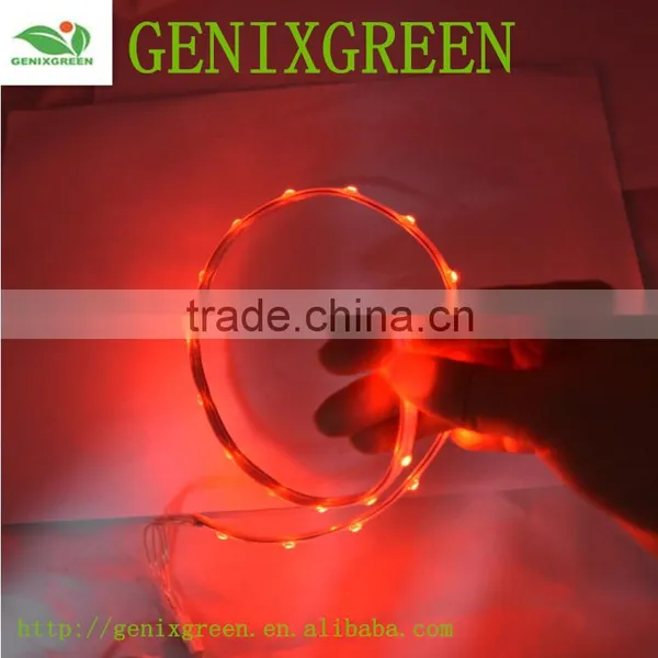 Led Light Shoeslace 2016 Hot New Product Simulation Led Light for Shoes photo-2