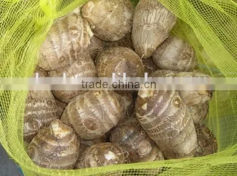 Chinese Fresh Taro Root at Low Price photo-3