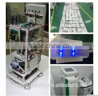 Newest CE Approval Cryolipolysis Fat Loss Weight Freeze Slimming Machine With OEM/ODM Vertical photo-3