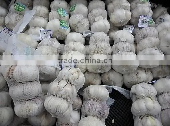 Cheap Wholesale Natural White Fresh Garlic Supplier photo-2