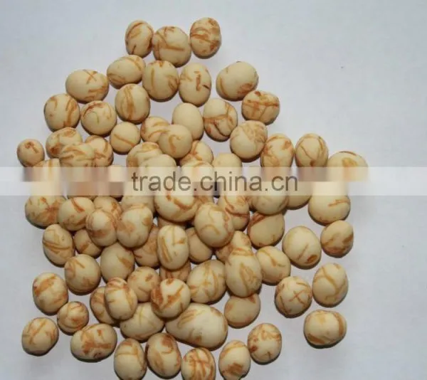Wholesale Top Quality Export Popular Coated Peanuts photo-3