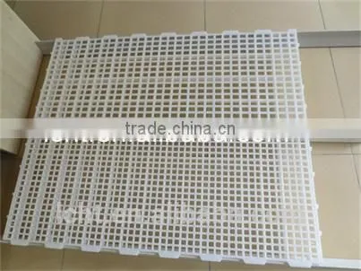 Most Popular Chicken Plastic Slat Floor photo-3
