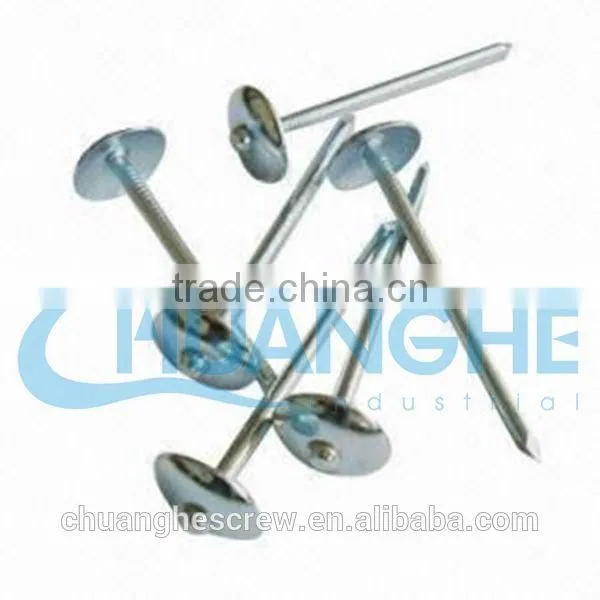 Umbrella Head Roofing Nails Factory Super Price photo-6