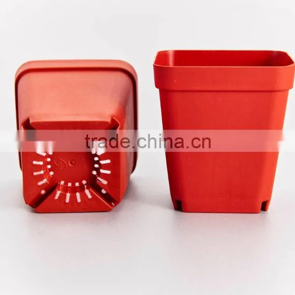 Flower Pot for Succulent Plant photo-4