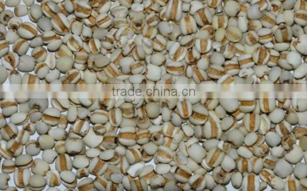 Myotonin Color Sorter Machine photo-3
