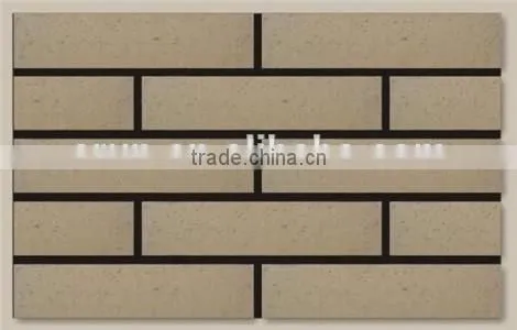Jiangsu Thin Clay Tile/brick for Outdoor Wall Decoration photo-4