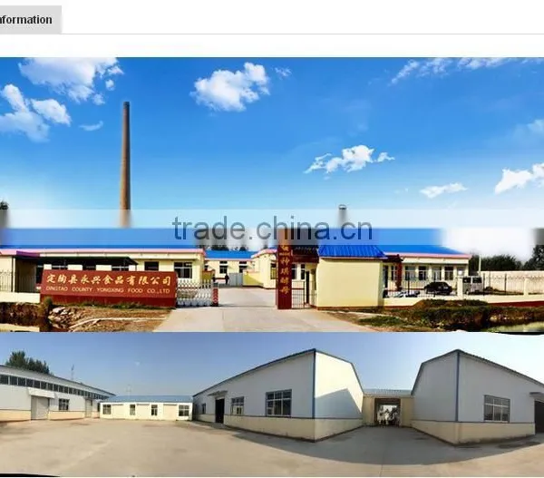 2017 Hot Sale Swelling Type /vaccum Bag 75g 90g 100g 125g 400g 450g 500g//good Quality Instant Dry Yeast for Bread photo-6