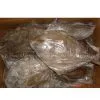 Frozen Black Pomfret