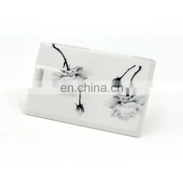 Shenzhen Factory Credit Card USB Memory Sticks  Plastic Usb Card Flash Drive With Printing Logo photo-3