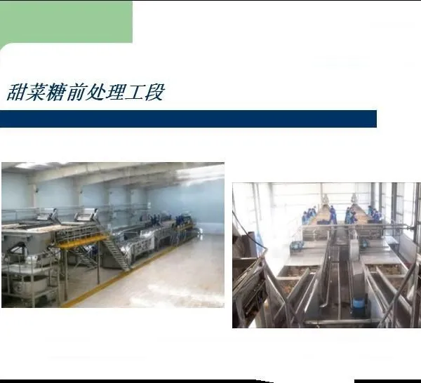 Shanghai Factory China Sugarcane & Sugar Beet Processing Machine Production Line Plant to Make White Crystal Sugar & Brown Sugar photo-3