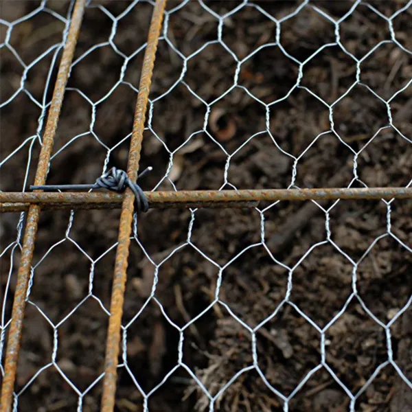 Durable Hexagonal Wire Mesh Netting With Hexagon Holes for Poultry Farming photo-2