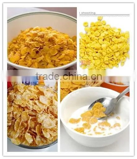 Corn Flakes Breakfast Cereals Process Line photo-4