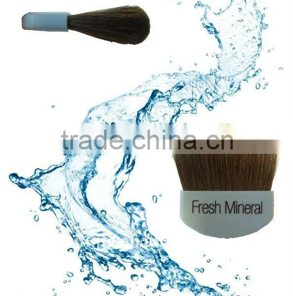Makeup Brush