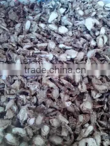 Lesser Galanga/ Kaempferia Galanga/ Sand Ginger