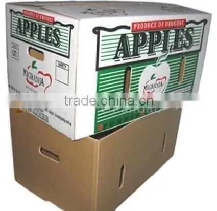 Water-proof Frozen Fish & Sea Food Carton Box With Custom Design Quality Choice photo-4