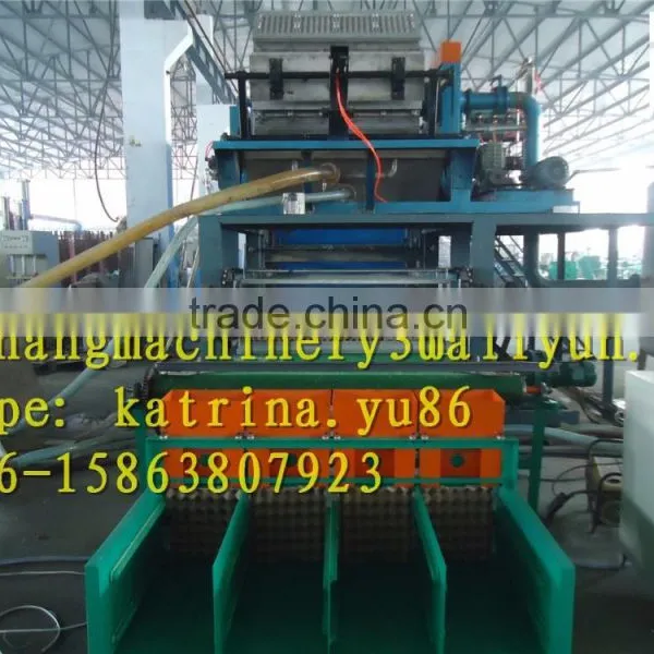 Paper Food Tray Machine photo-2
