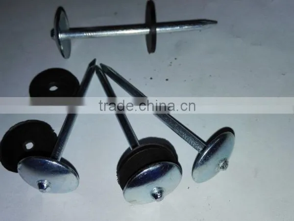Galvanized Roofing NAILS ( 2 -1/2" x 9mm ) With Plastic Washer Boa Sorte Trade Ssurance Sinolink photo-3