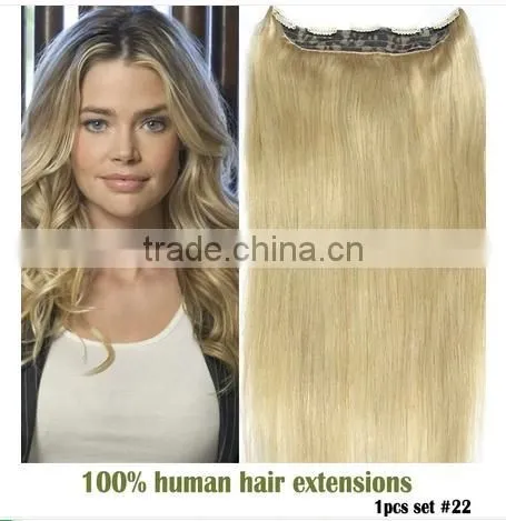 Hot Sale Pretty Gold 30 Inch Human Hair Extensions Clip in Human Hair Clip in Hair photo-4
