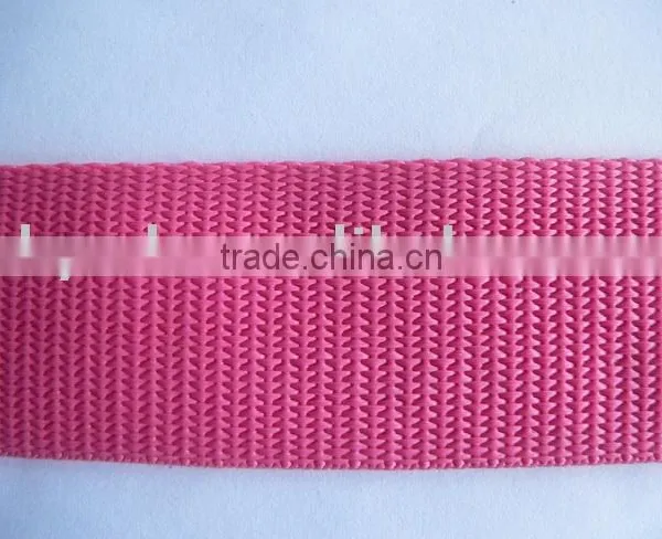 pp Belt