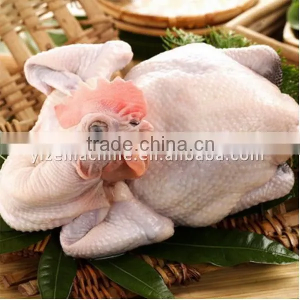 High Quality Industrial Poultry Plucker Chicken Plucking Machine for Sale photo-6