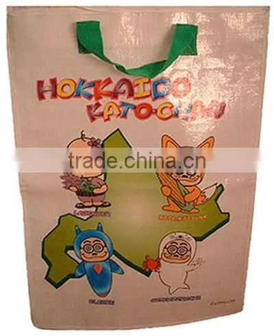 Reusable PP Woven Shopping Bag(KL08S021)